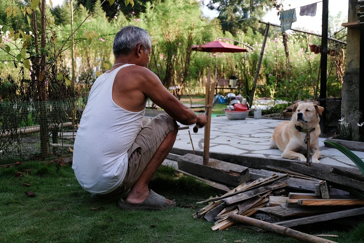 A man splitting bamboo in a garden while a dog rests nearby