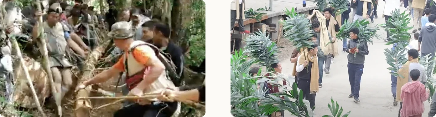 Left: men hauling a log through the forest. Right: men marching through the village carrying Tapr leaves
